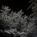 알펜라켄청소년수련원 이미지