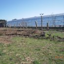 참다운농장 이미지