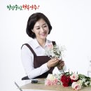 수요야간요가 이미지