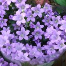 웰빙사우나찜질방 이미지