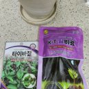 농업회사법인한송 주식회사 | 바질키우기 타이바질 커피 비료 화분영양제 세계종묘농업회사법인주식회사