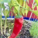 GS25남문아울렛점 이미지