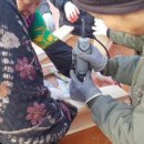 송이마을 이미지