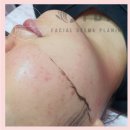 다인플래닝 네이버블로그