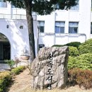 잠정햇살마을도서관 | 벚꽃 명소 정독도서관 후기 그리고 경복궁 MBTI