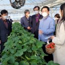 김대중농장 이미지