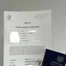 타임PC랜드 | 아일랜드 워홀 비자 준비 과정&amp;타임라인