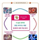 씨티씨 - 동구 조방로 14 | 씨티씨