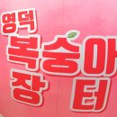남산1리마을회관 | 2026년 복숭아장터 남산리마을회관앞 영해휴게소 2026. 7. 24.(금)~ 8. 17.(월) / 25일간