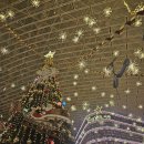 E001 | 크리스마스 코엑스 스타필드 별마당도서관 후기 겨울실내데이트 겨울데이트코스 추천 코엑스 놀거리...