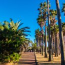 중문대포주상절리대 이미지