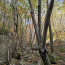 제눈에 안경 이미지