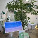 오늘은두부 | 강릉 디저트 추천｜초당두부티라미수 카페 두티 후기(내돈내산)