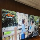 상업용 98 | 삼성 98인치 비즈니스 TV, 거실 설치 후기 LH98BEDHLGFXKR