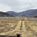 사정1동 이미지