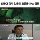 밤마다 집사 얼굴에 오줌을 싸는 이유 이미지