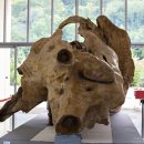 아천 문화관 이미지