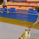 뉴마트 | 중국 대련 여행 뉴마트 쇼핑몰 쇼핑리스트 추천템