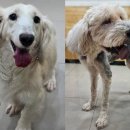 가족동물병원 이미지