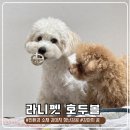 라니펫