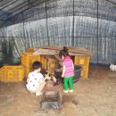 환이네농장 이미지