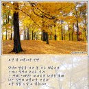 참아름다운머리