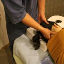 토닥토닥몸사랑안마원 이미지