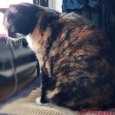 경기도 수원시 영통구 월드컵로150번길 이미지