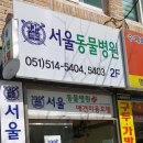 남천동물병원 이미지