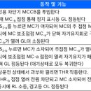 시퀀스 - 강남구 | 시퀀스