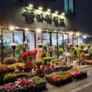 플라워월드 - 서구 둔산남로 175-1 | 플라워월드