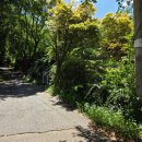 들림집 | 내돈내산 원주 금대리 계곡 백숙 식당 들림집 솔직후기 민생회복사용처