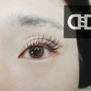 뚱슈헤나 이미지