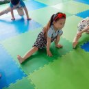 월드태권도 유소년스포츠클럽 이미지