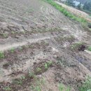 세정농원 이미지