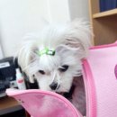 한국종합교육원