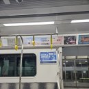 월성카 | [제주] SK렌터카 셀토스/스포티지 디젤 렌트 후기 + 사고 처리 (내돈내산)