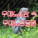 기린미술원 | 도쿄 우에노공원 우에노 동물원 /입장료 다신안갈래