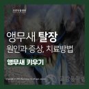 영민동물병원 네이버블로그