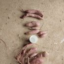 황등농장 이미지