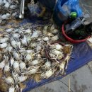 정이있는구포시장 이미지