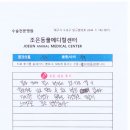 늘조은동물병원 이미지