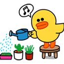 몽이네 애견샵 이미지