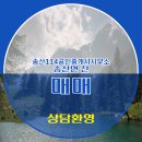 송산114공인중개사사무소 이미지