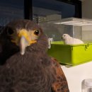 성당못역 | 대구사진비엔날레 <생명의 울림> 후기