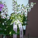 (주)서울금속