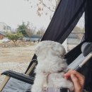 스톤힐 캠핑장 이미지