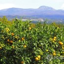 수훈농장 이미지