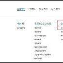 웰리힐리파크 오토캠핑장 이미지