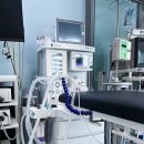 이담동물병원 이미지